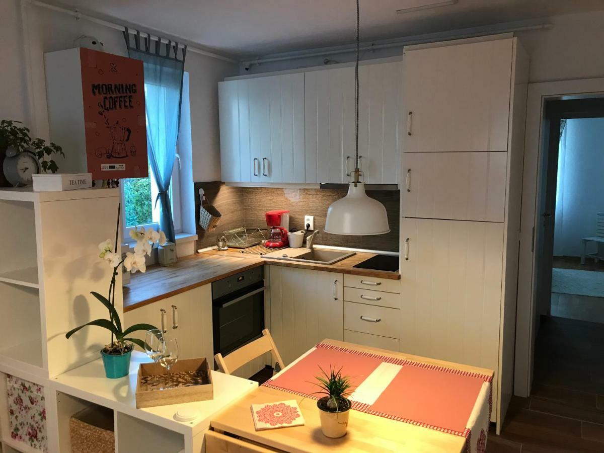 Comfy Apartment Sighişoara Eksteriør billede